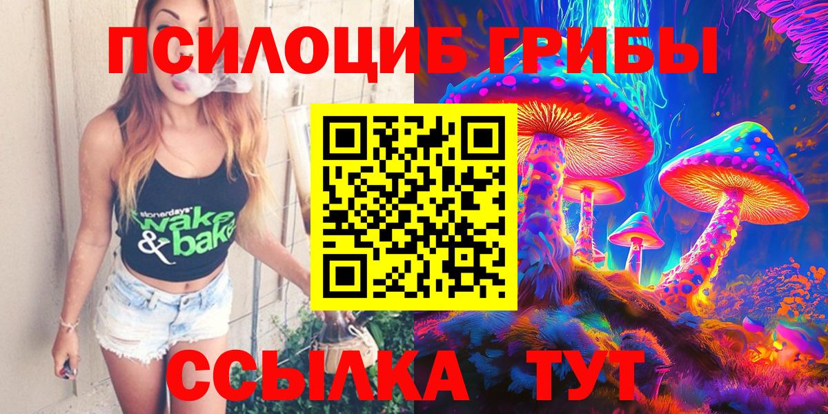 Псилоцибиновые грибы прущие грибы Моздок