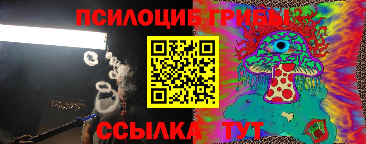 Галлюциногенные грибы мухоморы  цены наркотик  Вход с VPN  Моздок  Псилоцибиновые грибы мухоморы 