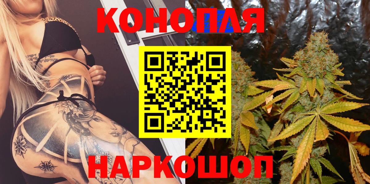 Бошки марихуана Amnesia Моздок